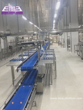 長寿命ベルトリフティングマシン 羊 牛 豚 共通屠殺場設備