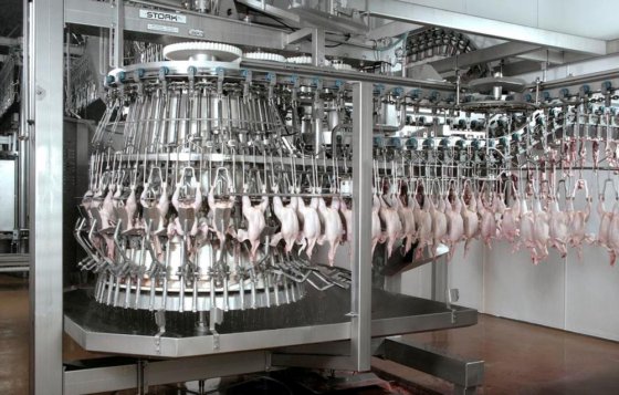 鸡鸭鹅屠宰加工生产线养鸡场屠宰设备