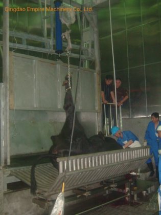 用于牛肉加工生产线的 380V 活牛固定屠宰箱清真屠宰场