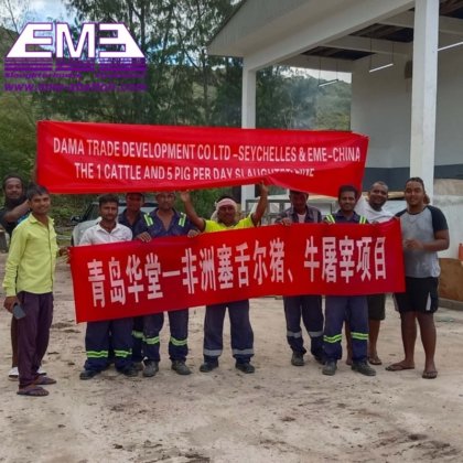 工厂直销定制小型猪屠宰场设备，适用于塞舌尔和尼日利亚