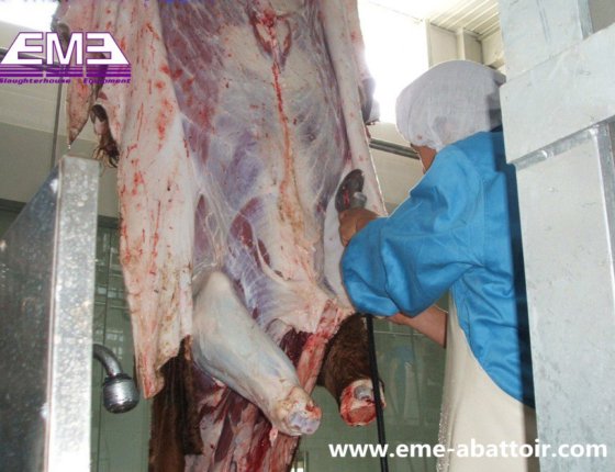 牛 豚 slaughter line 食肉処理機械