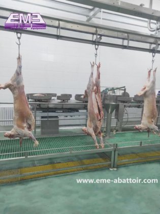 高精度センサー 羊 山羊 carcass 重量