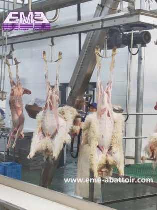 绵羊/山羊皮带式输送机 牲畜屠宰设备