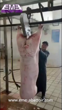 生猪屠宰场设备 生猪体重秤 从设计定制