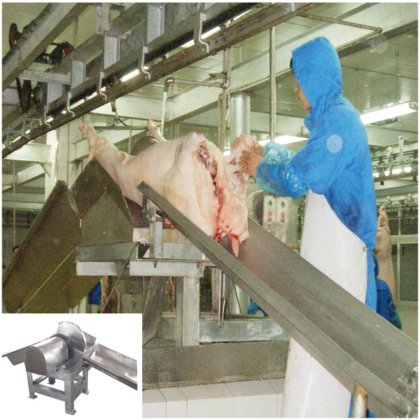 生猪屠宰场设备 生猪体重秤 从设计定制