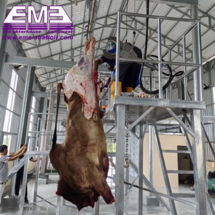 10-200 头奶牛屠宰场设备 猪屠宰场 牛屠宰机械
