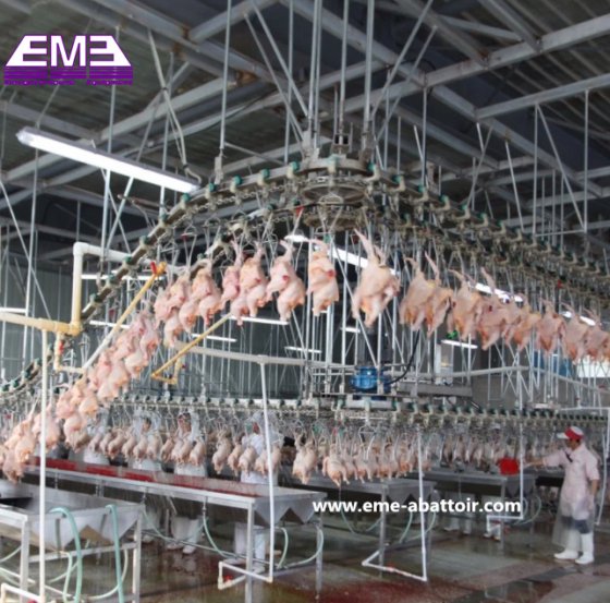 家禽屠宰场生产线设计 鸡鸭鹅自动输送轨道式屠宰机