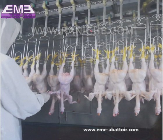 家禽屠宰场生产线设计 鸡鸭鹅自动输送轨道式屠宰机