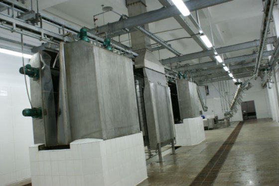 胴体干燥机 猪屠宰场屠宰设备