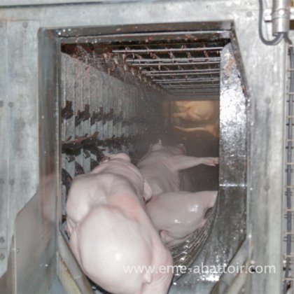 肉类加工屠宰线 屠宰场设备 猪毛脱毛机