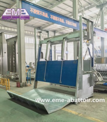 ムスリムのハラール牛屠殺ライン、スタンニングキリングマシン、牛の食肉処理設備用の屠殺場。