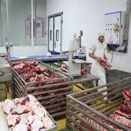 用于牛羊猪鸡的紧凑型屠宰线移动式集装箱屠宰场