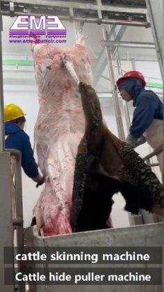 猪/牛/羊头和红内脏同步检查输送机 牛屠宰场设备 屠宰机