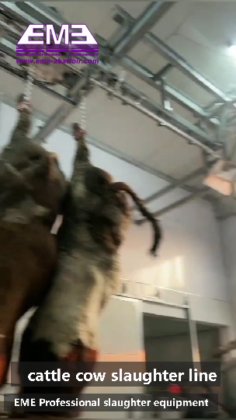 猪/牛/羊头和红内脏同步检查输送机 牛屠宰场设备 屠宰机