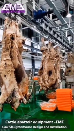 猪/牛/羊头和红内脏同步检查输送机 牛屠宰场设备 屠宰机