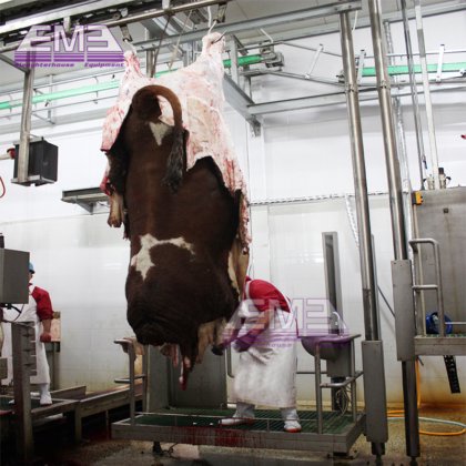 良質な牛血採取シュート 牛肉屠殺機 家畜屠殺場用