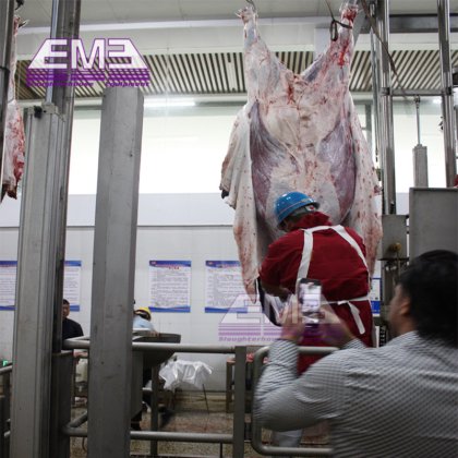 良質な牛血採取シュート 牛肉屠殺機 家畜屠殺場用