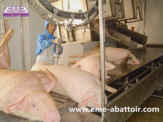 用于肉类加工生产线的杀猪自动传送台屠宰设备