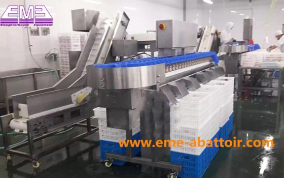 家禽屠殺機 家禽無骨自動選別スケール 食肉処理設備 無骨鶏肉、鴨肉、ガチョウ肉の重量用