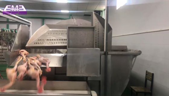 家禽加工 鸡胴体预冷系统 螺杆式预冷设备 鸡屠宰线