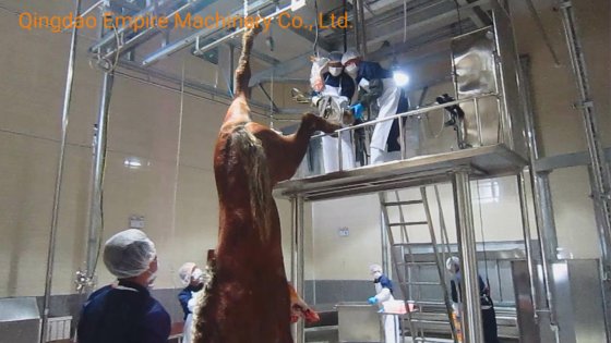 ホーンとフーフの油圧シアー食肉処理設備 牛屠殺場用