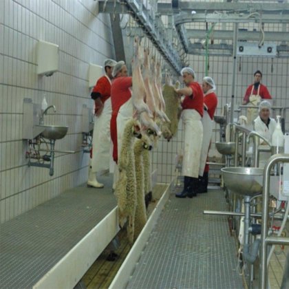 管轨滑轮吊架 屠宰场机械和工具 牲畜屠宰场设备