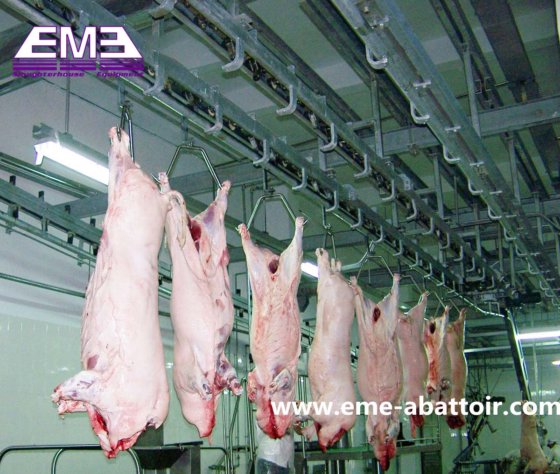 屠殺場機器 豚のひづめの脱毛とスカール機械 販売用