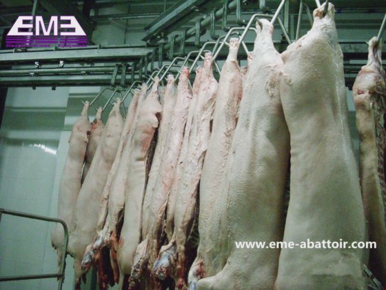 屠殺場機器 豚のひづめの脱毛とスカール機械 販売用