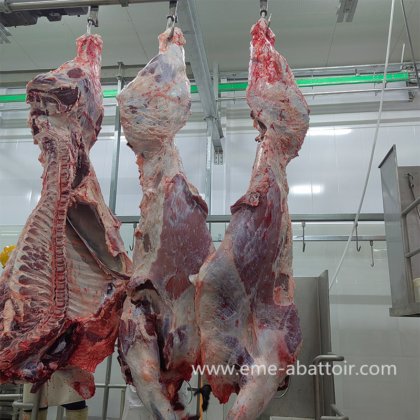 胴体轨道称重系统 牛屠宰场机器的定制设计