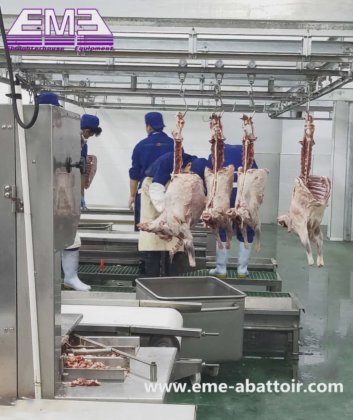 羊、ヤギ、アルパカの死体用バンド分割鋸、屠殺設備、食肉処理場用