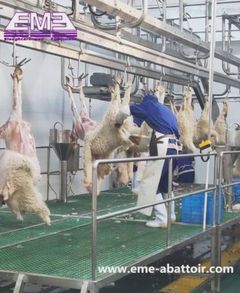 羊、ヤギ、アルパカの死体用バンド分割鋸、屠殺設備、食肉処理場用