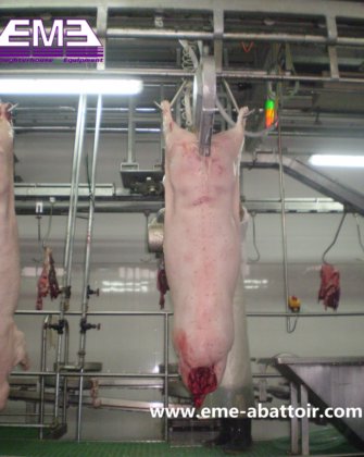 200pig 時間あたりハラール肉体分割のための豚用スロータリングマシン