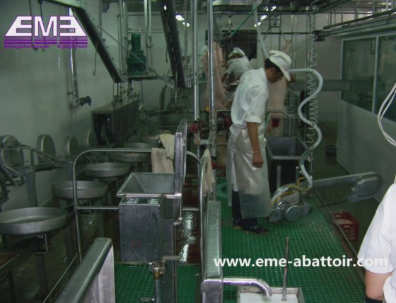 每小时 200 头清真猪胴体带式分割锯屠宰机
