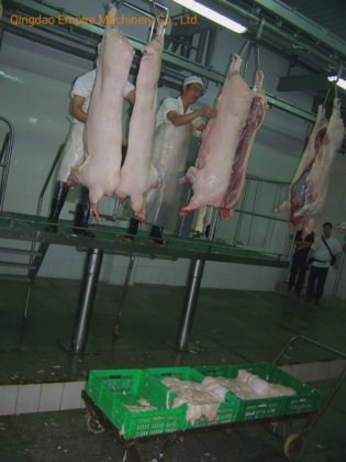豚の自動出血搬送レール屠殺装置