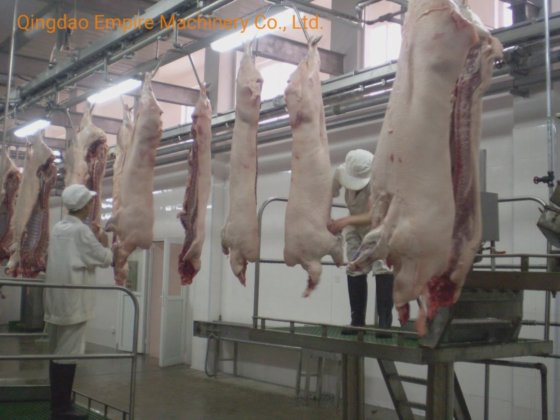 豚の自動出血搬送レール屠殺装置