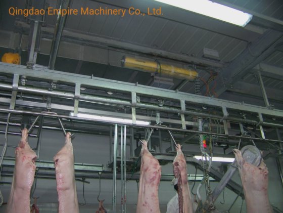 豚の自動出血搬送レール屠殺装置