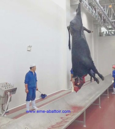 屠宰场使用的采血罐屠宰场机器