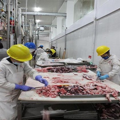 农业机械和设备 全自动肉类热缩机 牛羊肉鸡肉包装切肉机