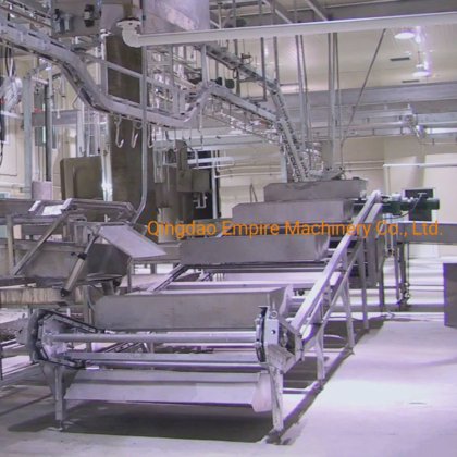 牛の白い内臓コンベヤー屠殺設備