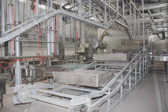 牛头红内脏同步检测输送机 牲畜加工屠宰场设备