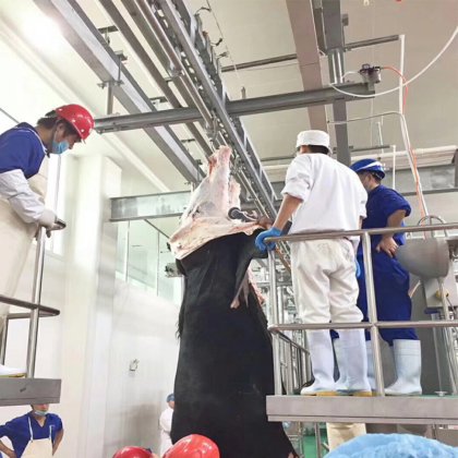 屠殺場機器 空気脱皮器 牛屠殺機器用の空気式皮剥きナイフ