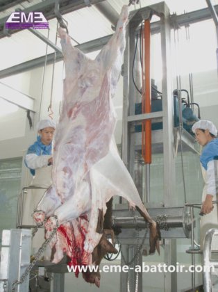 牛内脏转运车 屠宰场机械 屠宰场设备