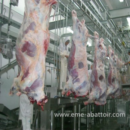 肉処理機 自動牛肉死体清掃機械 食肉処理場機械