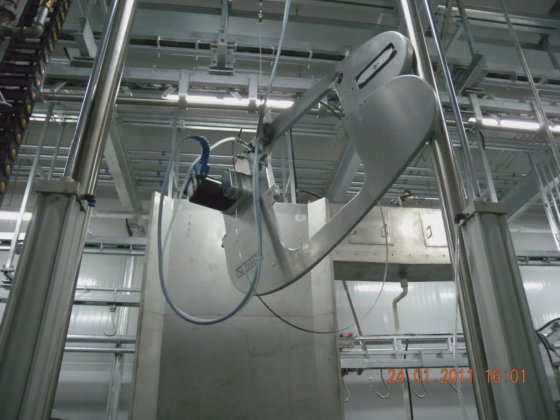 現代の屠殺場 牛の屠殺 屠殺場機器 牛肉屠殺用の carcass