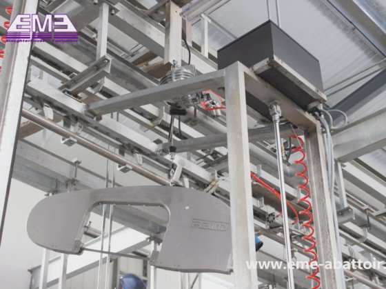 現代の屠殺場 牛の屠殺 屠殺場機器 牛肉屠殺用の carcass