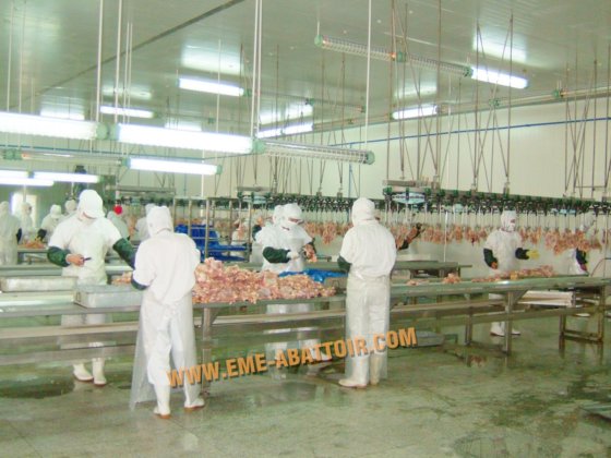 用于农场屠宰场机械的大功率猪电鞭