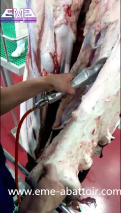 牛屠殺場用の皮剥きナイフの特売