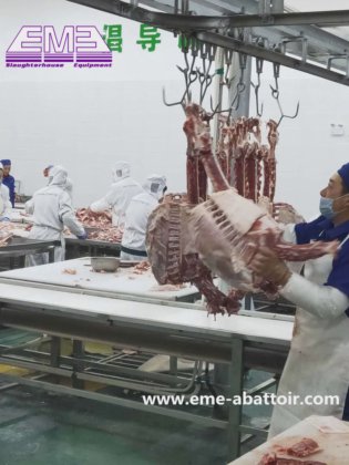 羊蹄脱毛机 屠宰场设备
