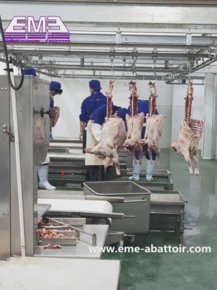 羊蹄脱毛机 屠宰场设备