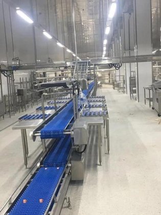 用于肉类加工的屠宰场设备 去骨切割三层输送机